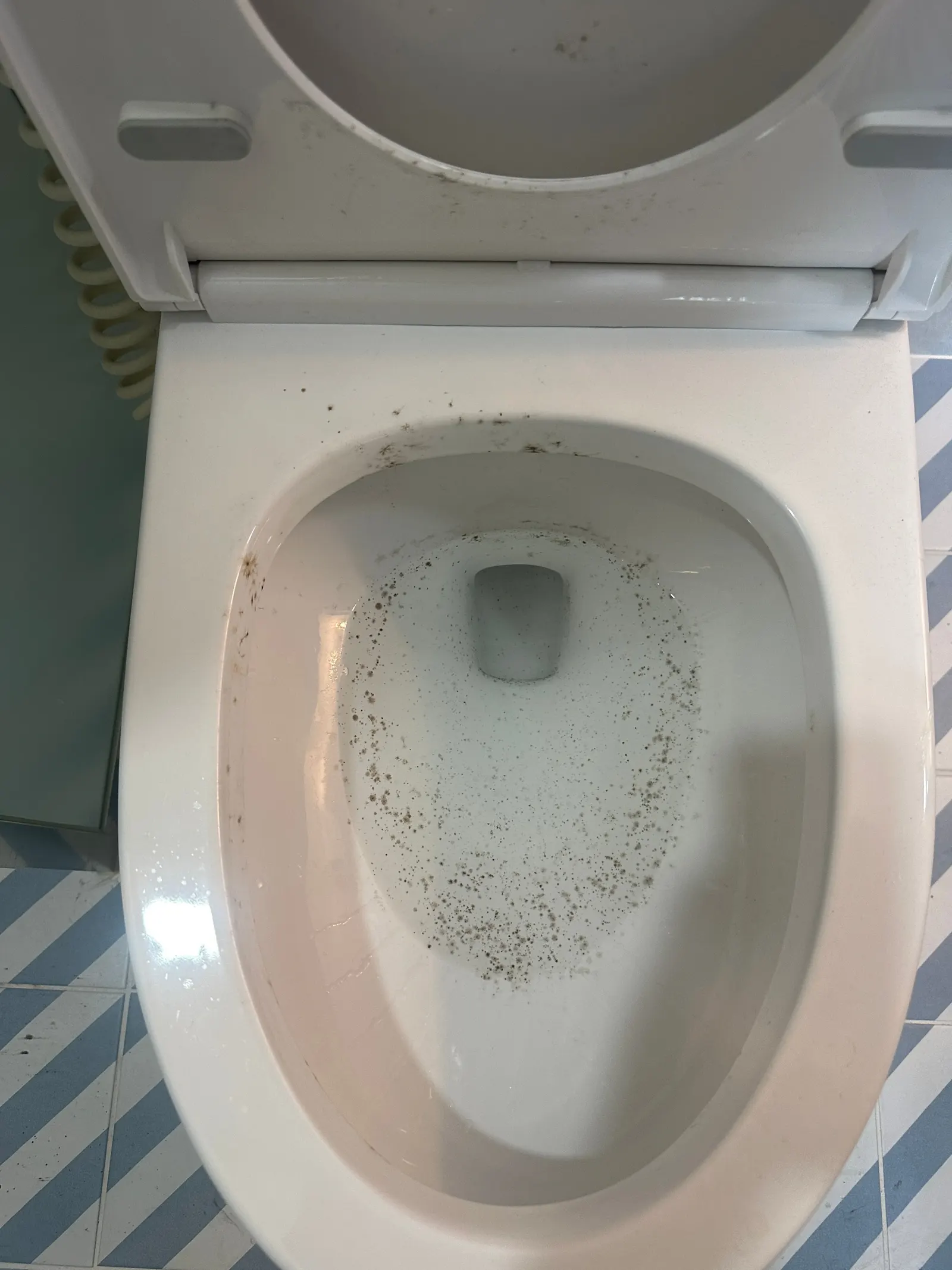 변기 청소 전
